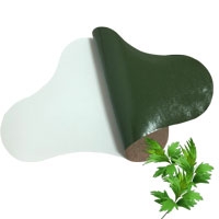 与艾草贴贴牌OEM厂家合作可以打造自己的品牌吗？